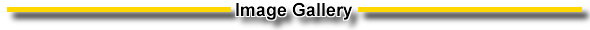 Image Gallery