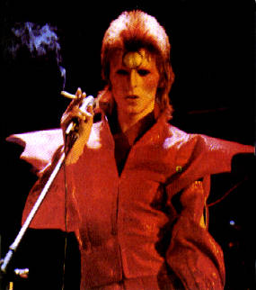 ziggy10.jpg (18996 byte)