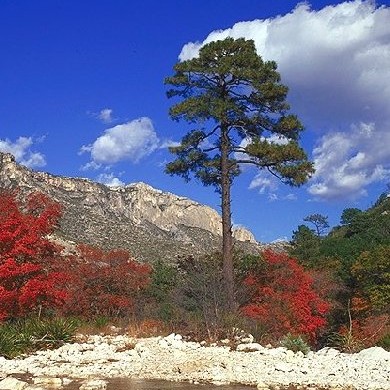 McKittrick Canyon