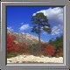 McKittrick Canyon