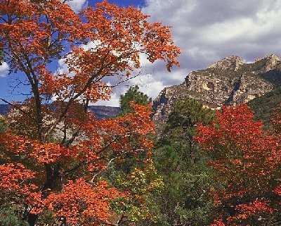 McKittrick Canyon