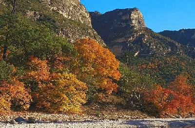 McKittrick Canyon
