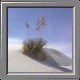 White Sands National Monument