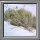 White Sands National Monument