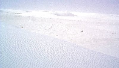 White Sands National Monument