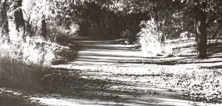gardenpath