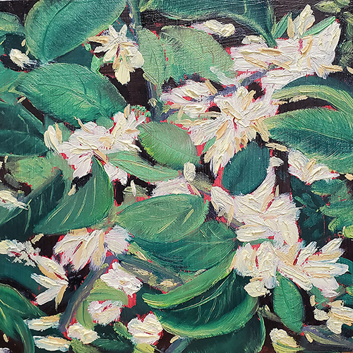 popcorn flowers