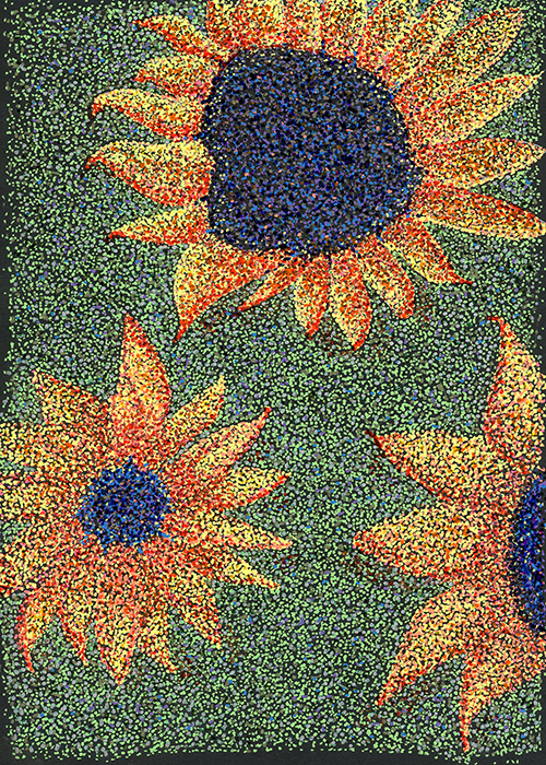 sunflowers