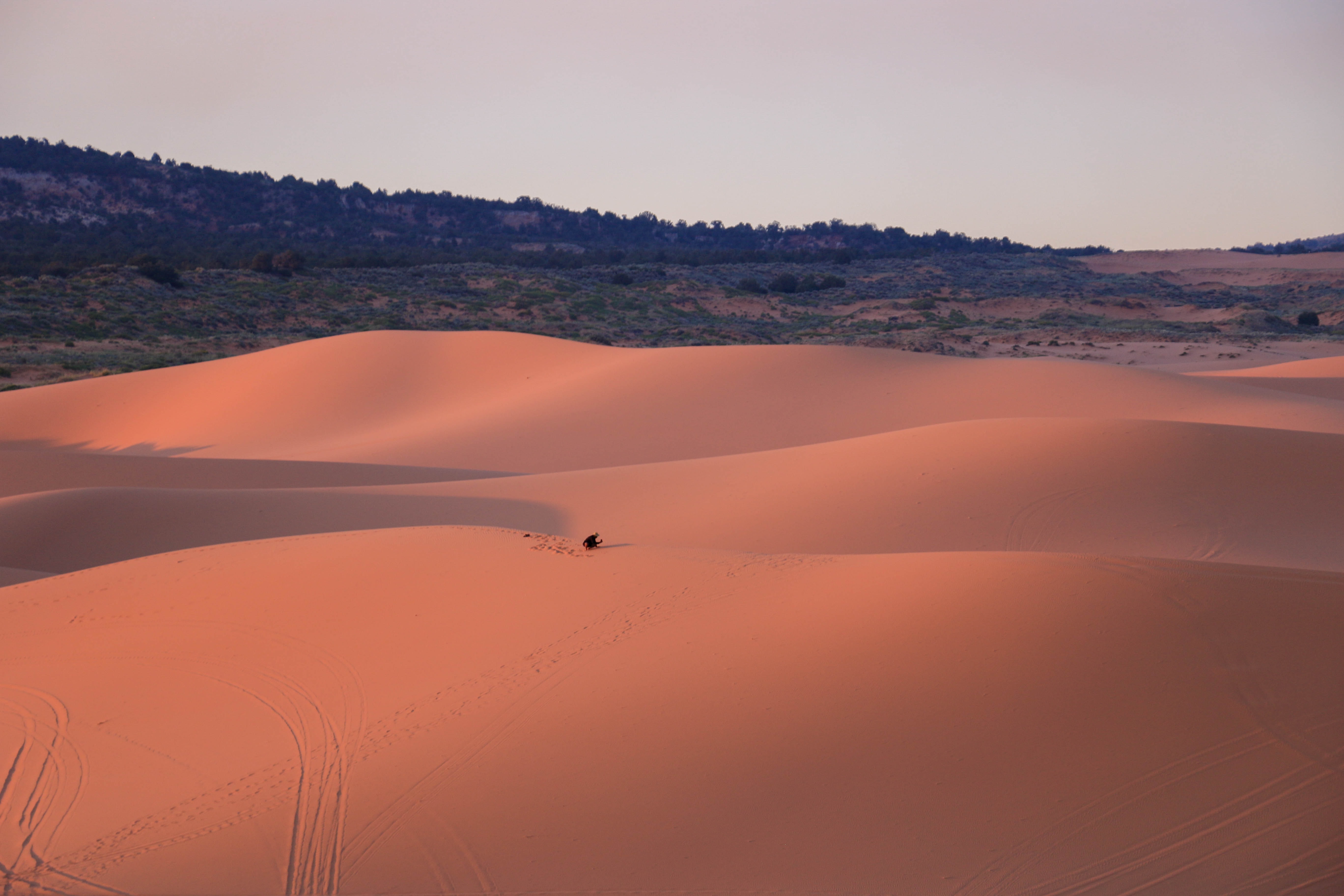 Coral Pink Sand Dunes State Park
