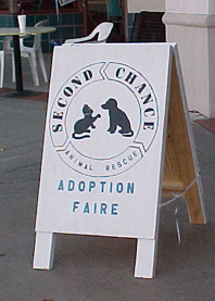 Petfaire.jpg