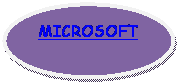 Elipse: MICROSOFT

