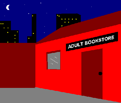 Goodnight Adult Bookstore