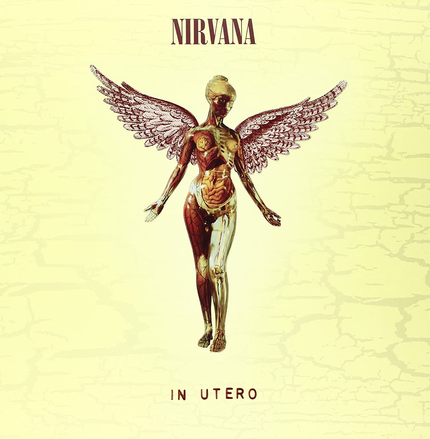 In Utero Album