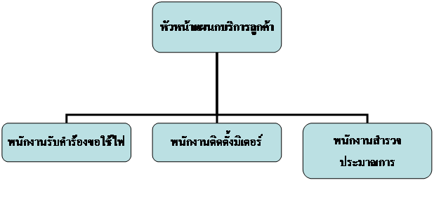 Organization Chart