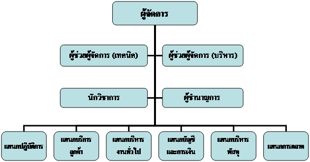 Organization Chart