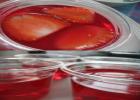 http://www.strawberrywongwan.com/product_img/thumbnail/1333087840_yelly.jpg