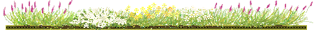 bander3