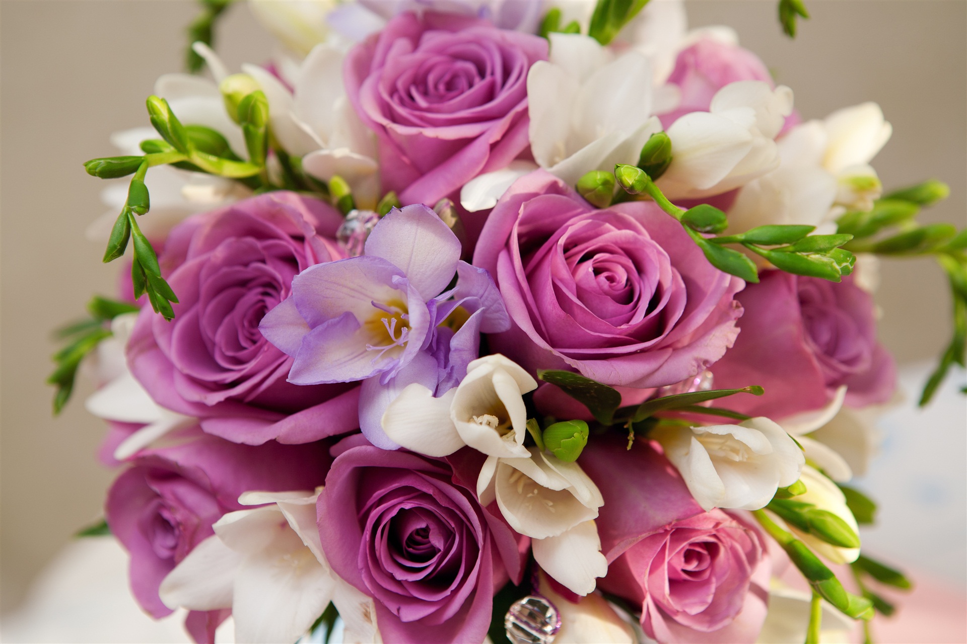 rose