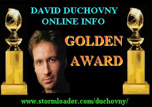 David Duchovny Online Info Award - Golden Award