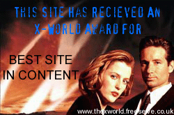 X-World Award - Best Content