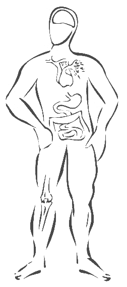 Body
