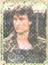 Cahonius
