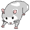 Joxer the Mighty (hamster)