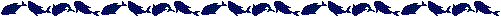 bar-005.gif (2180 bytes)