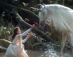 Lily and Unicorn