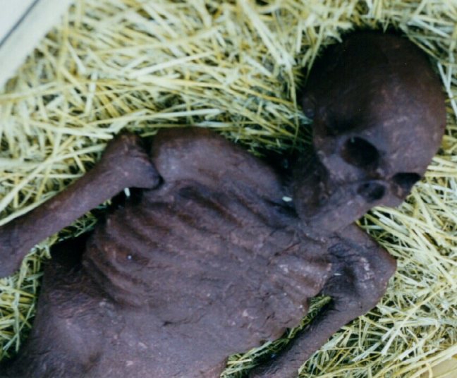 corpse1.jpg - 71838 Bytes