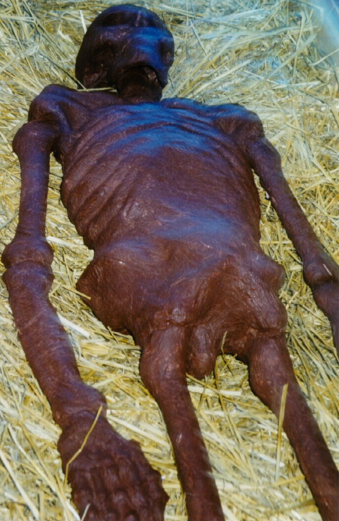 corpse2.jpg - 155873 Bytes