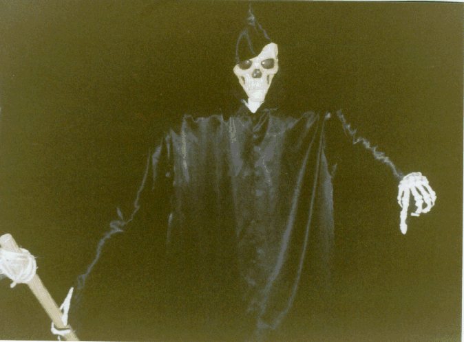 reaper3.jpg - 49076 Bytes