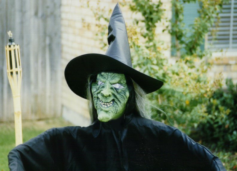 witch2.jpg - 68020 Bytes