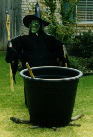 witch4.jpg - 31785 Bytes