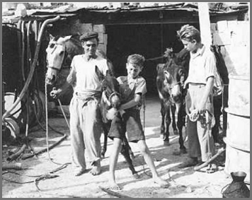 family.gif (108136 bytes)