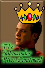 The Salamander Pilot, Continued