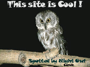 Night Owl's Cool Site Award