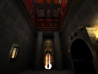 flame model