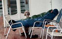 mmm . . . yes . . . American classic . . . snore . . .