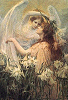 Angel #6 