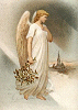 Angel #12