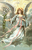 Angel #15