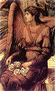 Angel #16