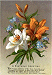 bunch of flowers