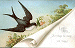 Bird with flowers
