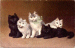 Full House