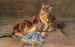Bad Kitties