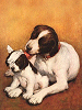 Mothering Dog