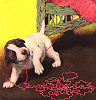 Bad Dog
