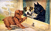 3 Dogs